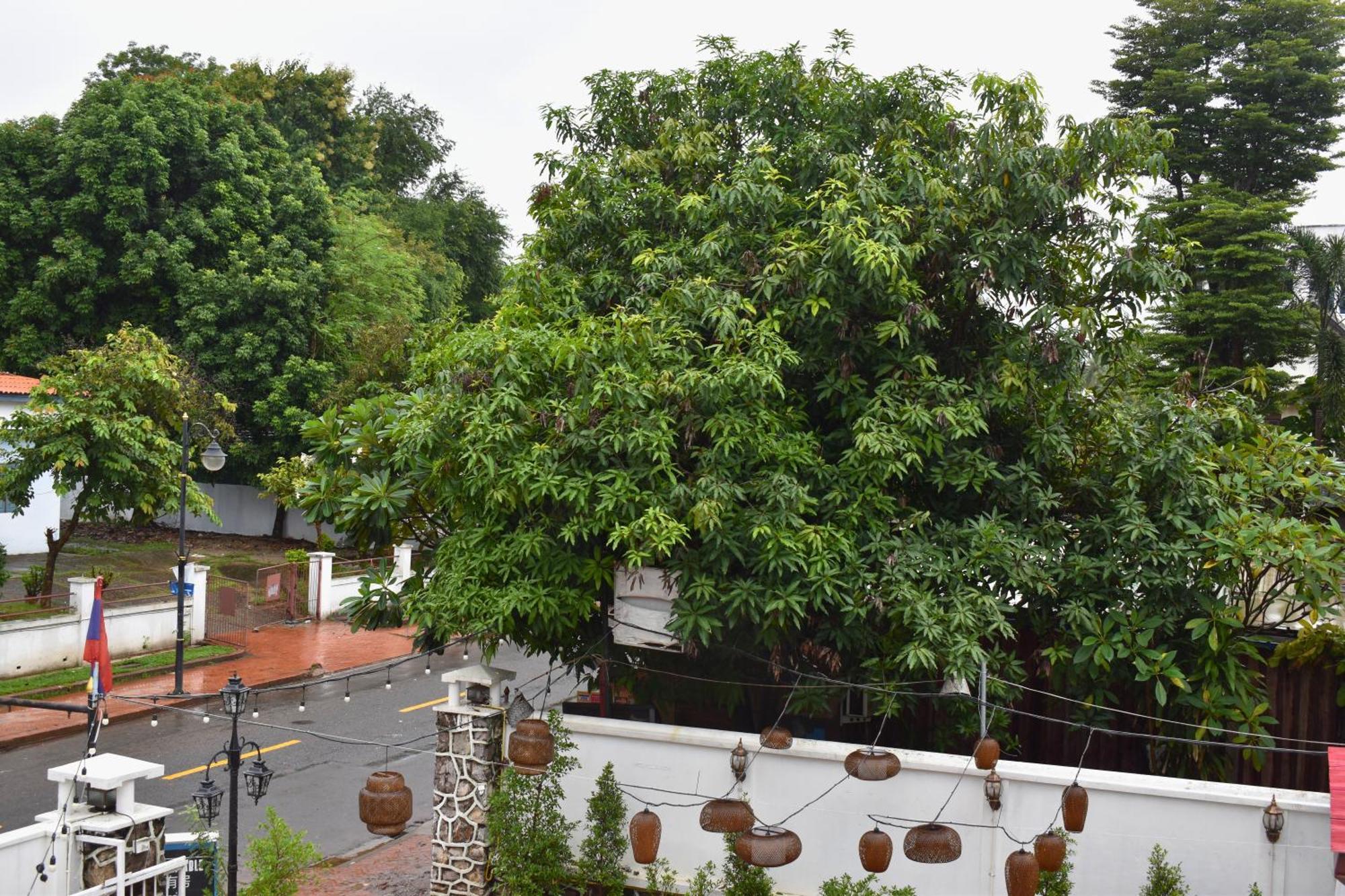 Monsane Villa Luang Prabang Eksteriør billede